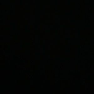 Meet your Posher, Presleigh